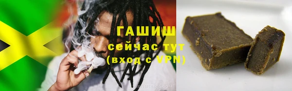 гидра Богородск