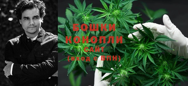 гашик Богданович