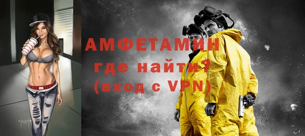 гидра Богородск