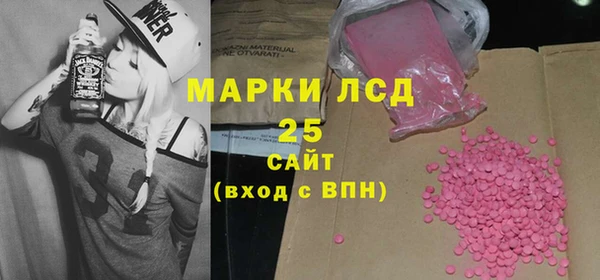 гидра Богородск