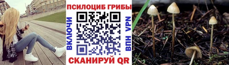 Галлюциногенные грибы прущие грибы  ОМГ ОМГ как зайти  shop официальный сайт  Калуга 