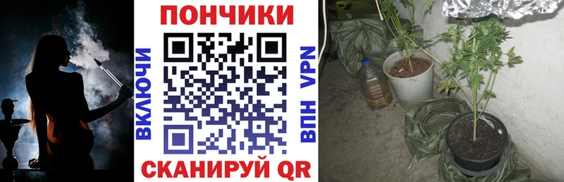 это состав  Калуга  Канабис Bruce Banner 